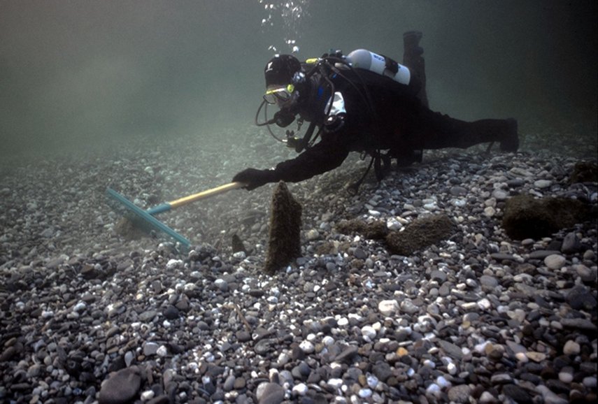 Taucher bedeckt mit einem Rechen und Pfahlstummel am Seeboden